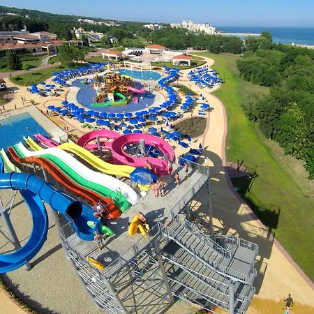 Duni Pelican سوزوبول