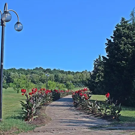 منتجع Duni Pelican 4*